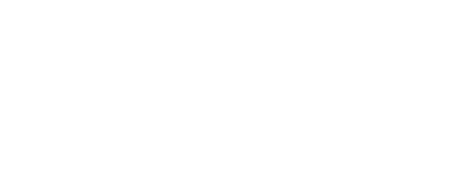 Capital Intellect Holdings